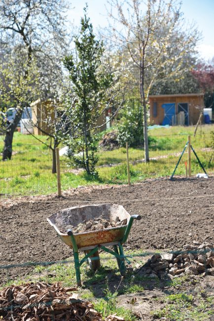 Jardins familiaux - Récoltez le bonheur sur le chemin des Arpents - 9 - Ville de Stains