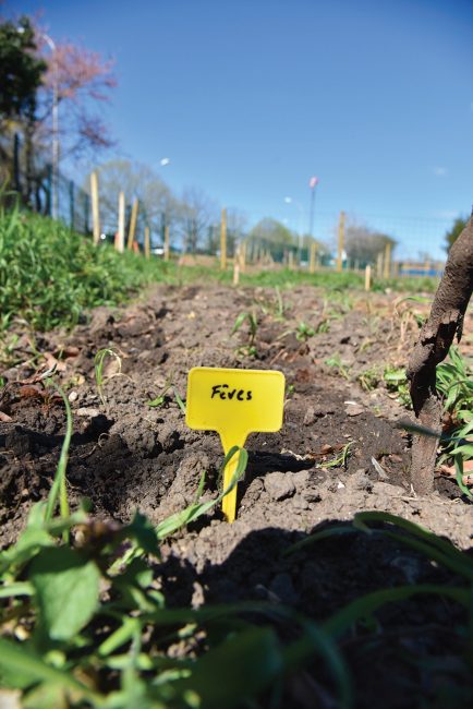 Jardins familiaux - Récoltez le bonheur sur le chemin des Arpents - 6 - Ville de Stains