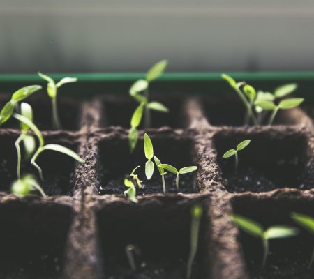 Budget participatif, écologique et solidaire : proposez vos projets jusqu'au 8 mars 2023 - Ville de Stains